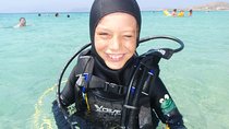 Scuba Diving in Naxos by Bluefindivers - Dive in Greece - Amazing Diving Spots