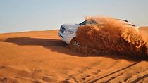 Private Morning Safari With 10 Minutes Camel Ride