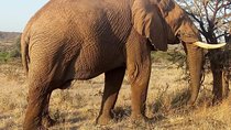 5-days-Nairobi-Arusha-lake manyara-serengeti-ngorongoro