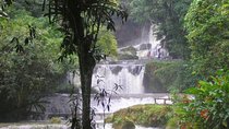  YS Falls and Sightseeing Tour Day Adventure
