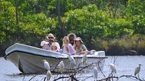 Muthurajawela Bird Watching Boat Tour