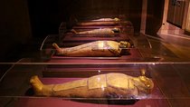 Kalabsha Temple and Nubian Museum Tour