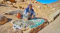 Trip to St. Catherine Monastery