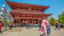 Tokyo Private Tour by Vehicle with English-Speaking Chauffeur