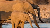 10 Days Taste of Namibia - Self Drive Lodge