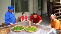 4 Days Zhangjiajie Experience Tour(Hand-picked Featured Inn)