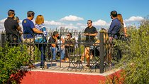 Maipú: Historical Vineyards, Premium Olive and Vigilant Experience
