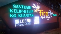 Private Tour Batu Caves,Wonderful Fireflies,Eagles and Silvered Leaf Monkey 