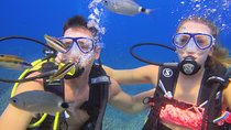 Side: Scuba Diving Experience