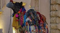 Royal Rajasthan 10 Days Private Tour Package By Car