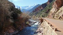 Full day trip to ourika valley and the high atlas mountains