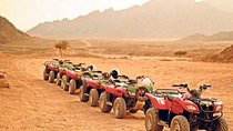 Safari in Luxor