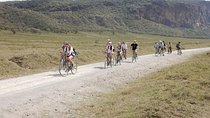 Day Trip To Hells Gate and Lake Naivasha With Optional Boat Ride