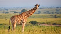 3 Days Queen Elizabeth Nat Park Tour