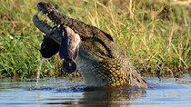 15 Days Discover Namibia and Botswana - Self Drive Lodge