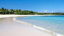 Gorgeous Natadola Beach with Picnic Lunch ex Cruise Ships or hotels