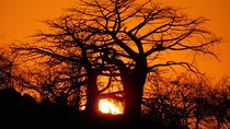 Trekking in Tanzania Southern Circuit National Parks of Nyerere and Udzungwa