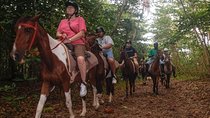 East Coast Horseback Riding & Waterfall Excursion 