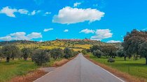 Full Day Excursion to Moura and Alqueva Dam with Boat Cruise