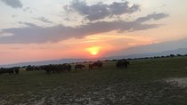 16 Days Uganda Wildlife Safari Holiday