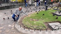 Shared Walking Tour in Guayaquil City