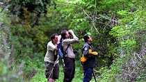 Half Day Birdwatching in Cerro Blanco from Guayaquil