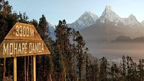 5 Days Amazing Mohare Danda Trek From Pokhara