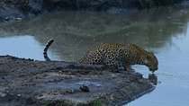 Classic Kenya Explore Safari 2022