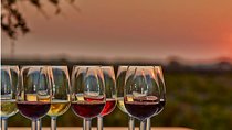 4.5 Hours Through the Grapevine Private Wine Tour