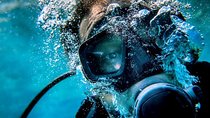 Scuba Diving in the Red Sea