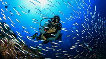 Scuba Diving Boat Trip for beginners With Lunch&Transfer_Hurghdad