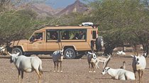 Nature and Wildlife Drive with Lunch- Must do Experience