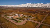 A day in “Clos de los Siete & Antucura”: 