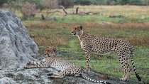 06 Days Etosha, Swakopmund and Sossusvlei | Self Drive Lodge