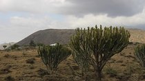 Meserani Snake Park Guided Day Tour in Arusha