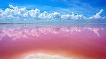 Las Coloradas and Río Lagartos Private Tour