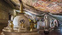 Dambulla And Polonnaruwa All Inclusive Day Tour From Anuradhapura