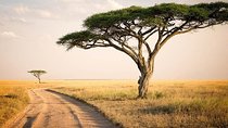 6 Day: Magnificent Wildlife Adventure