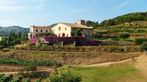 Private Breakfast Winery Experience - Private Wine Tasting Tour