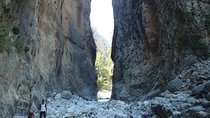 Chania: Samaria Hiking Tour (with local guide)