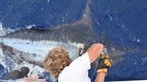 6 Hour Fishing Charter