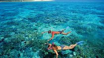 El Gouna Red Sea Snorkeling Trip