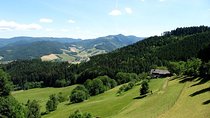 Black Forest Day Tour