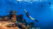 Amed Bali Snorkelling: Japanese Shipwreck & Vienna Beach Tour