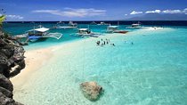 Whale Shark Watching with Canyoneering & Kawasan Falls + Sumilon Sandbar