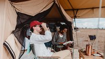6 Day Kenya Budget Safari Tour from Nairobi