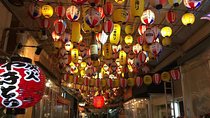 Osaka Nighttime tour 