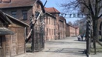 Auschwitz - Birkenau And Wieliczka Salt Mine Guided Tour With Private Transport
