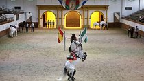 Equestrian Show and Winery in Jerez from Seville