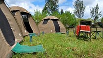 5 days into the heart of serengeti (serengeti, ngorongoro, lake manyara)